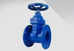 Gate Valve