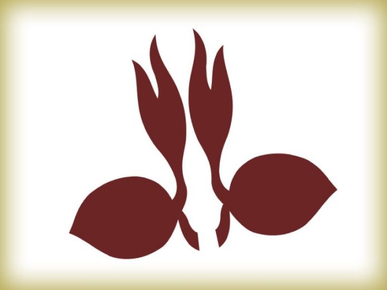 Jangan Ngaku Anak Pramuka Kalau Belum Tahu 4 Hal Ini